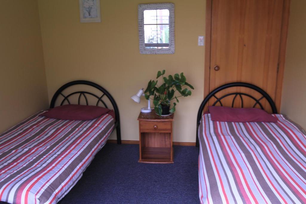 Bazil'S Backpackers Bbh Hostel & Surf School Westport Camera foto